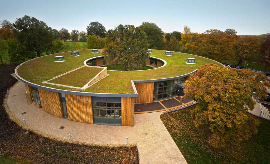Sedum Roofing: A Growing Norm in Eco-Friendly Building